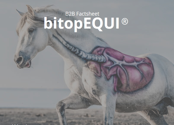 Inhalationslösung bi-medEctoin® easy breathe 30 Ampullen a 5 ml für Pferde und andere Tiere ( Monatspackung ) bitpop Equilung